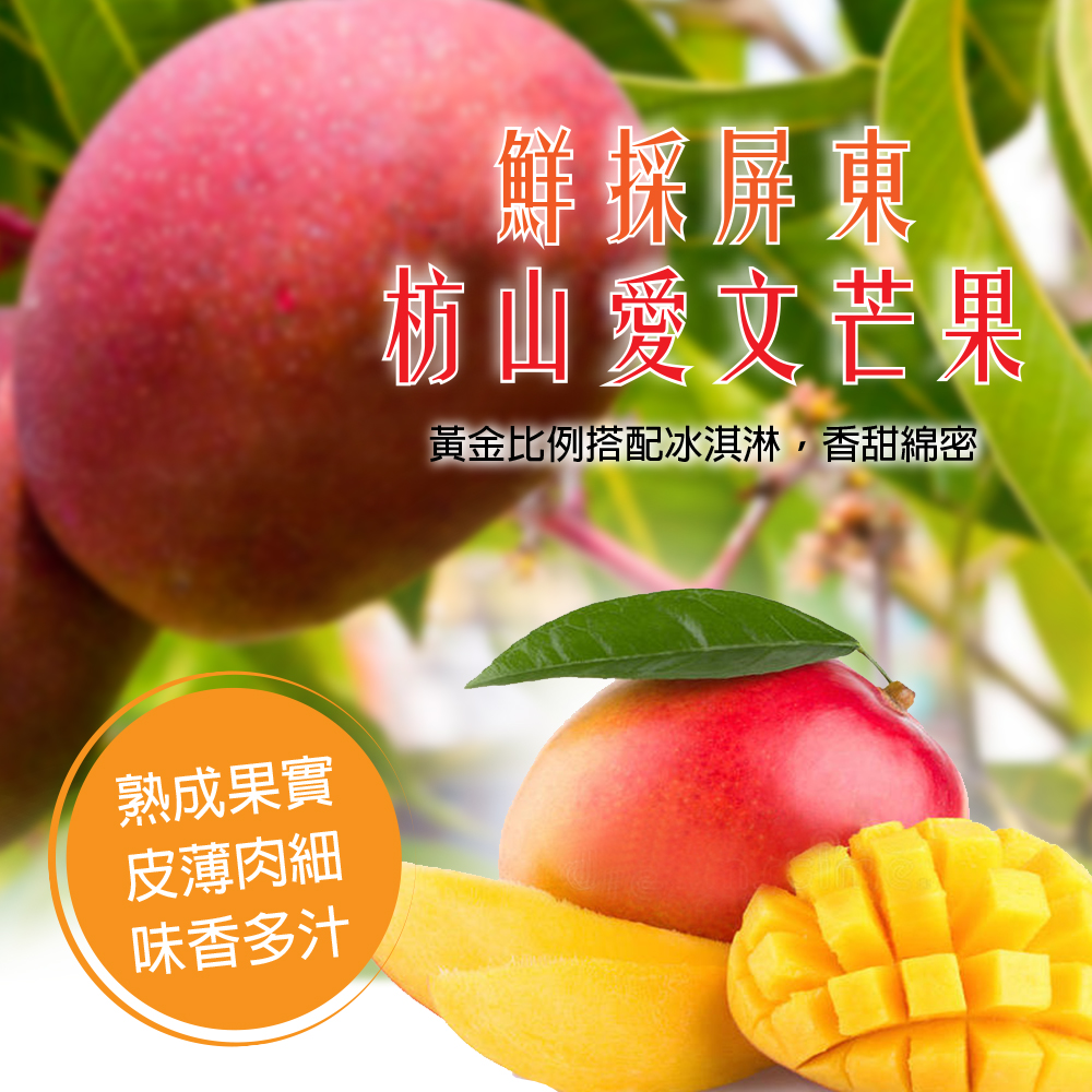 【山夏】愛文芒果冰淇淋 80g/杯 (屏東愛文/芒果冰/甜點下午茶/點心)