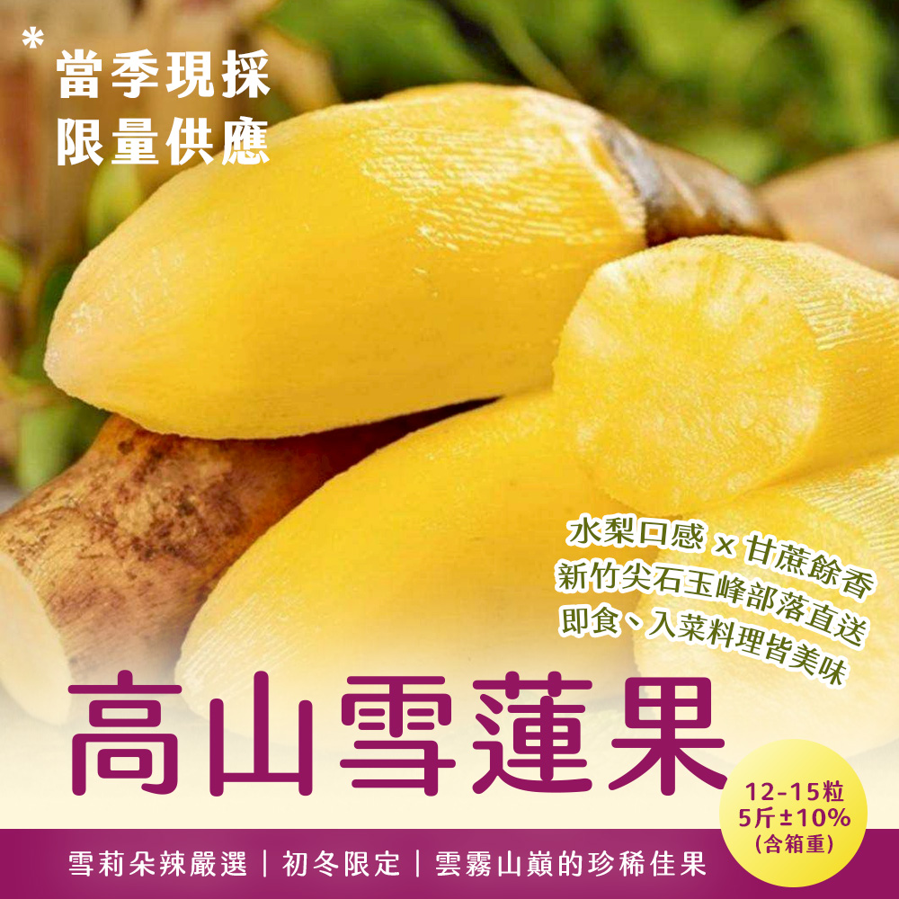【雪莉朵辣嚴選】高山雪蓮果 5斤箱/12-15粒 (富含菊糖.膳食纖維.低熱量，口感似水梨帶甘蔗香)