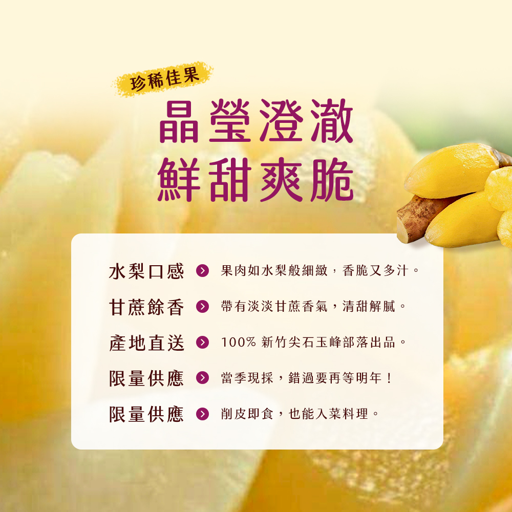 【雪莉朵辣嚴選】高山雪蓮果 5斤箱/12-15粒 (富含菊糖.膳食纖維.低熱量，口感似水梨帶甘蔗香)