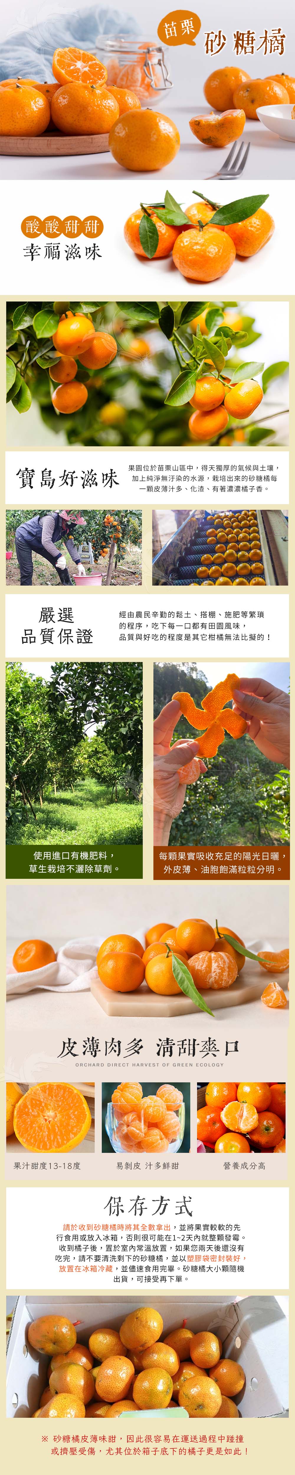 【禾鴻】苗栗正宗砂糖橘3斤/盒 