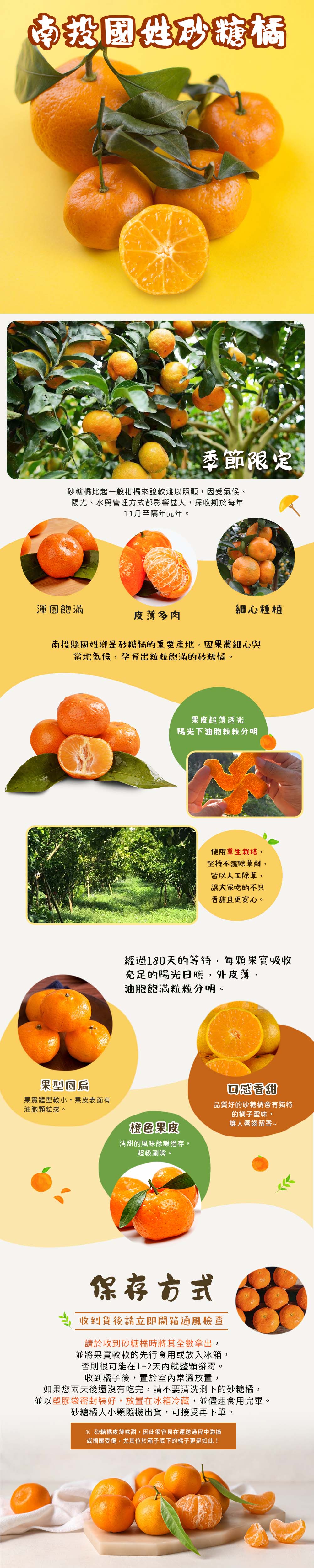 【禾鴻】南投國姓正宗砂糖橘5斤/盒 (大果)