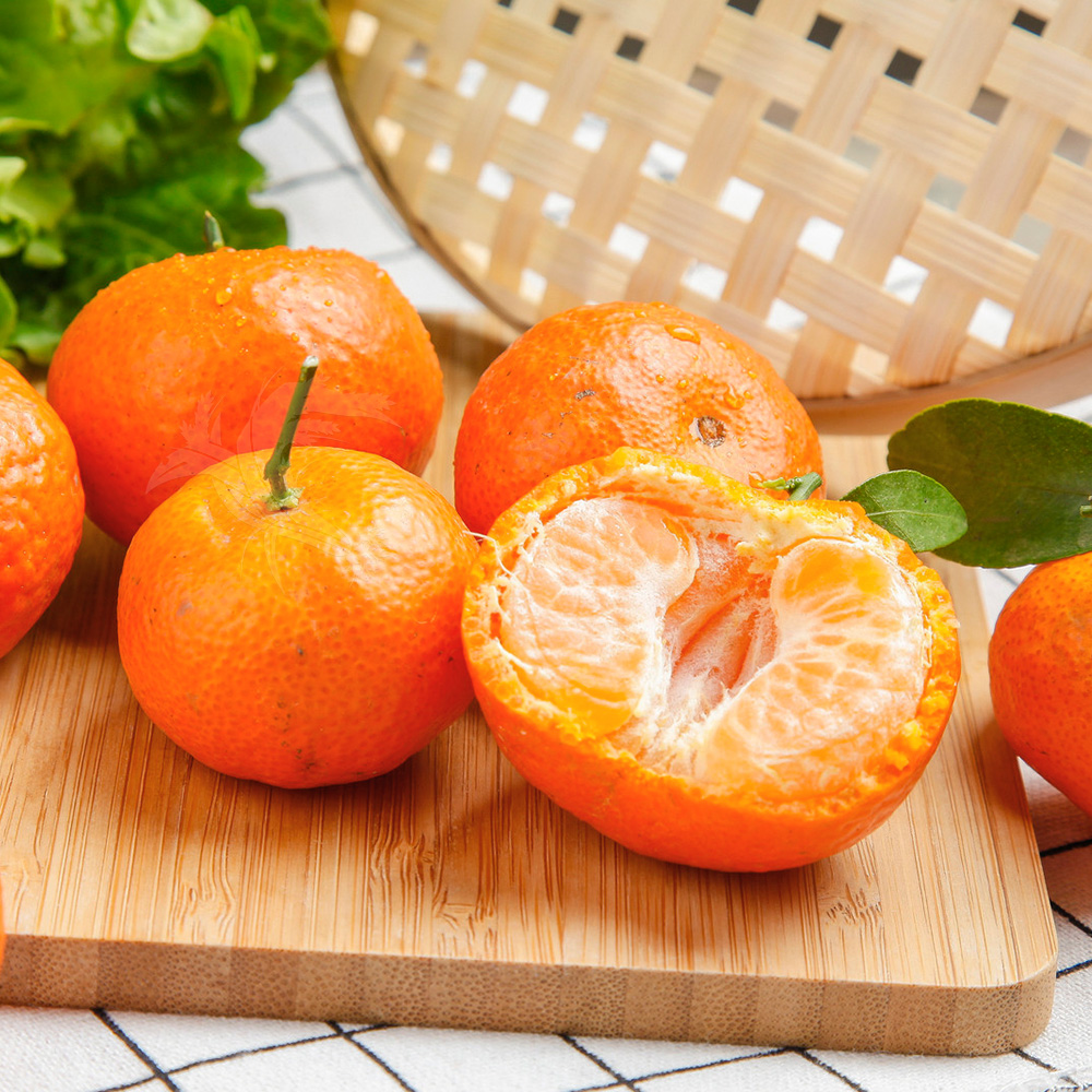 【禾鴻】南投國姓正宗砂糖橘5斤/盒 (大果)