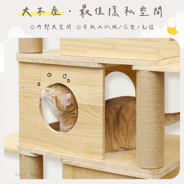 貓本屋 台灣製 雙層/四層疊疊樂 實木大貓窩 階梯貓跳台