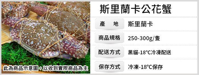 【築地一番鮮】XL｜斯里蘭卡｜公花蟹250-300g ｜