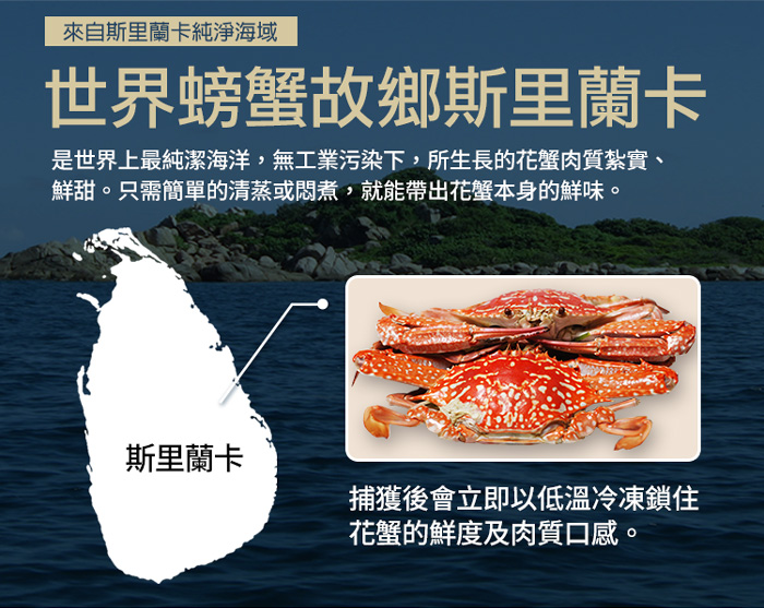 【築地一番鮮】XL｜斯里蘭卡｜公花蟹250-300g ｜