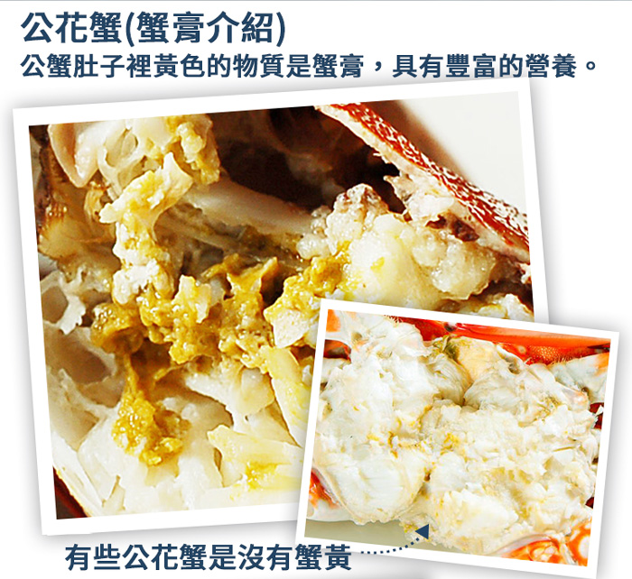 【築地一番鮮】XL｜斯里蘭卡｜公花蟹250-300g ｜