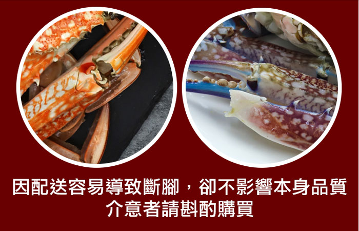 【築地一番鮮】XL｜斯里蘭卡｜公花蟹250-300g ｜