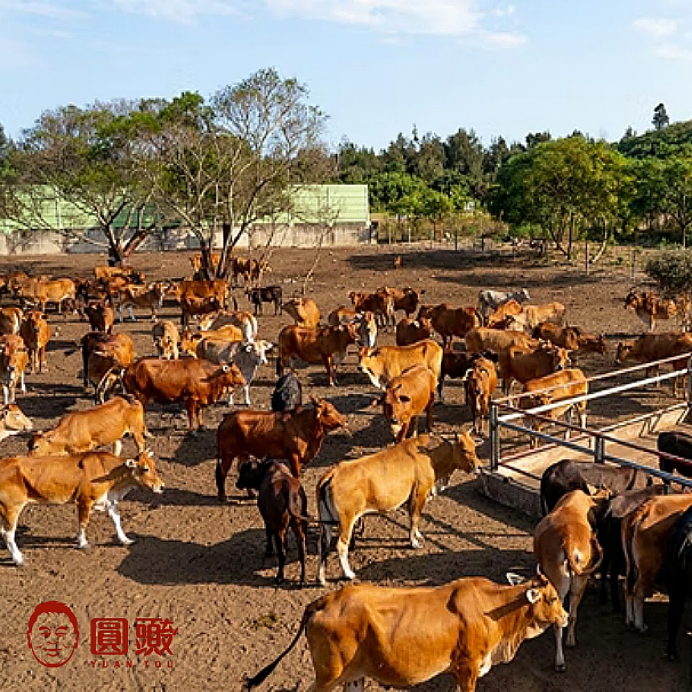 金門圓頭酒糟牛肉乾/金牛條120g/包
