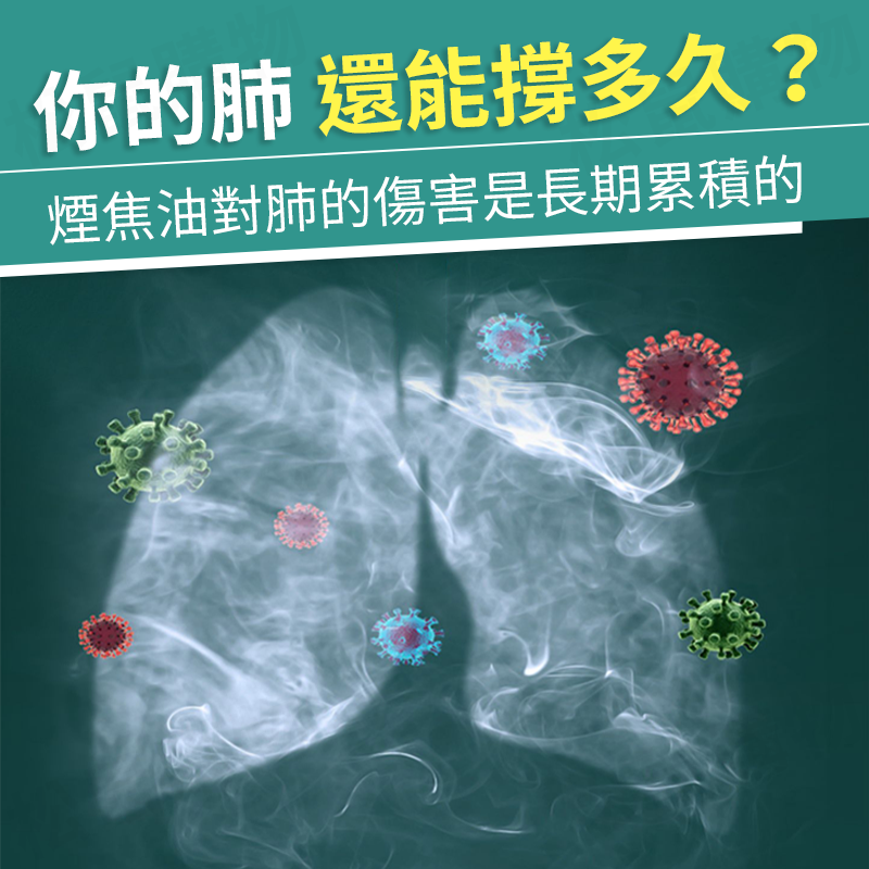一次性煙嘴過濾器 焦油過濾神器 100入/罐 香煙過濾 香烟滤嘴 過濾煙嘴 過濾嘴 過濾煙 一次性濾嘴 濾嘴