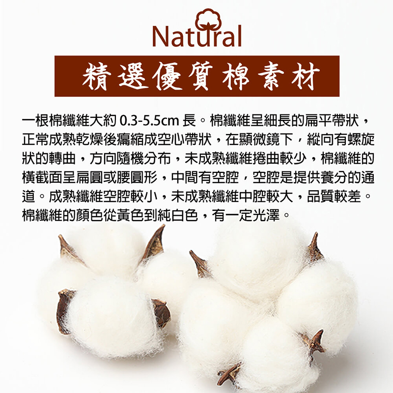 【YABY芽比】Crocodile鱷魚5片式平口褲 M~XL