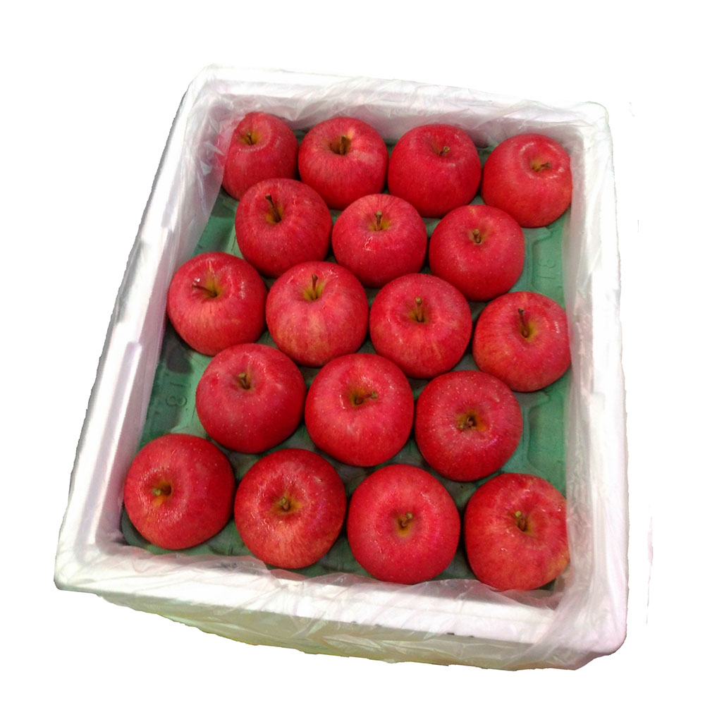 【一等鮮】日本青森蜜蘋果蘋果禮盒