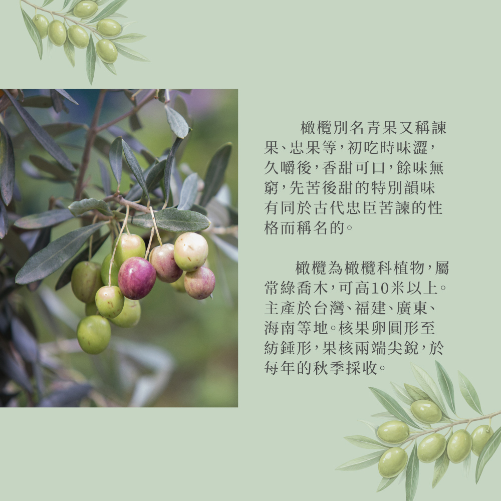 【水里鄉農會】甘草橄欖(280g/瓶)