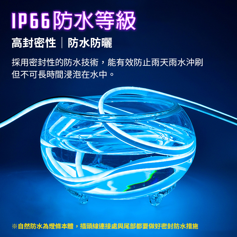 12v霓虹燈條 LED2835 LED燈條 led燈 防水防曬 高亮光源 戶外裝飾 廣告字體  led 燈條
