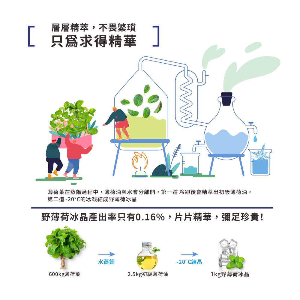 金美克能 抗屑洗髮乳5˚C 止癢配方 750ml