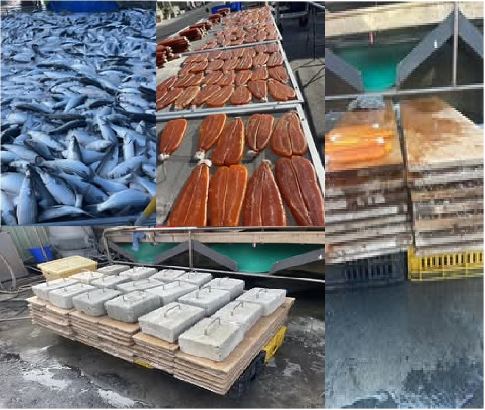 台灣野生一口烏魚子75g包