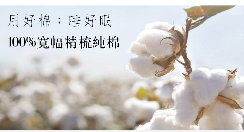 台灣製100%精梳純棉兩用被 床包被套組 純棉床包組 薄被套 (單人/雙人/加大 )202512