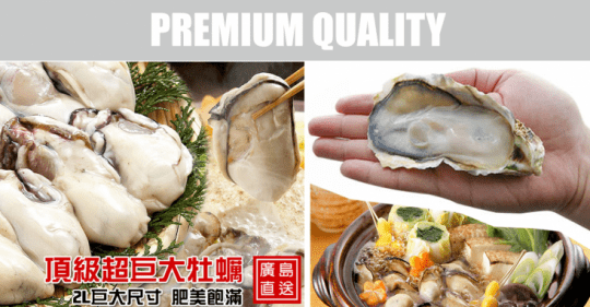 日本頂級超巨大廣島牡蠣