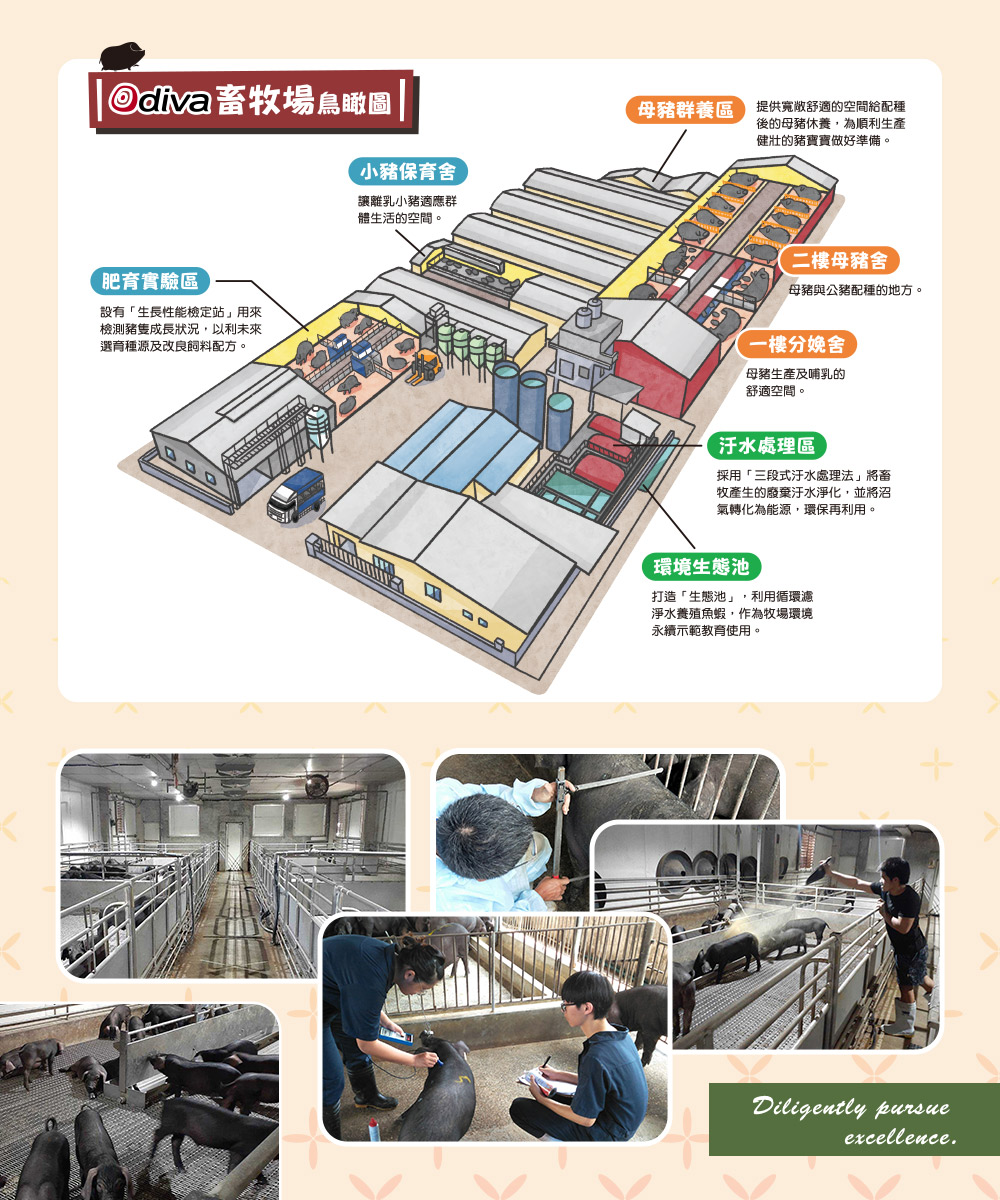 【Odiva】杏仁香脆肉紙禮盒(3盒/組) 0.01cm超薄肉紙 嚴選平埔黑豬肉