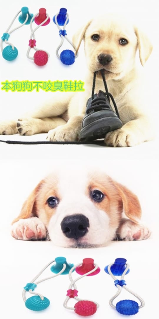 【CS22】Petenjoy寵物超耐磨彈力橡膠健齒球-4入(寵物玩具球)