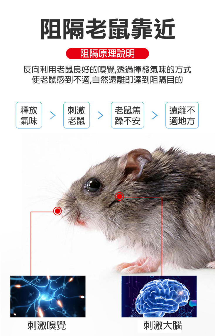 最新款強效鼠光光神膏