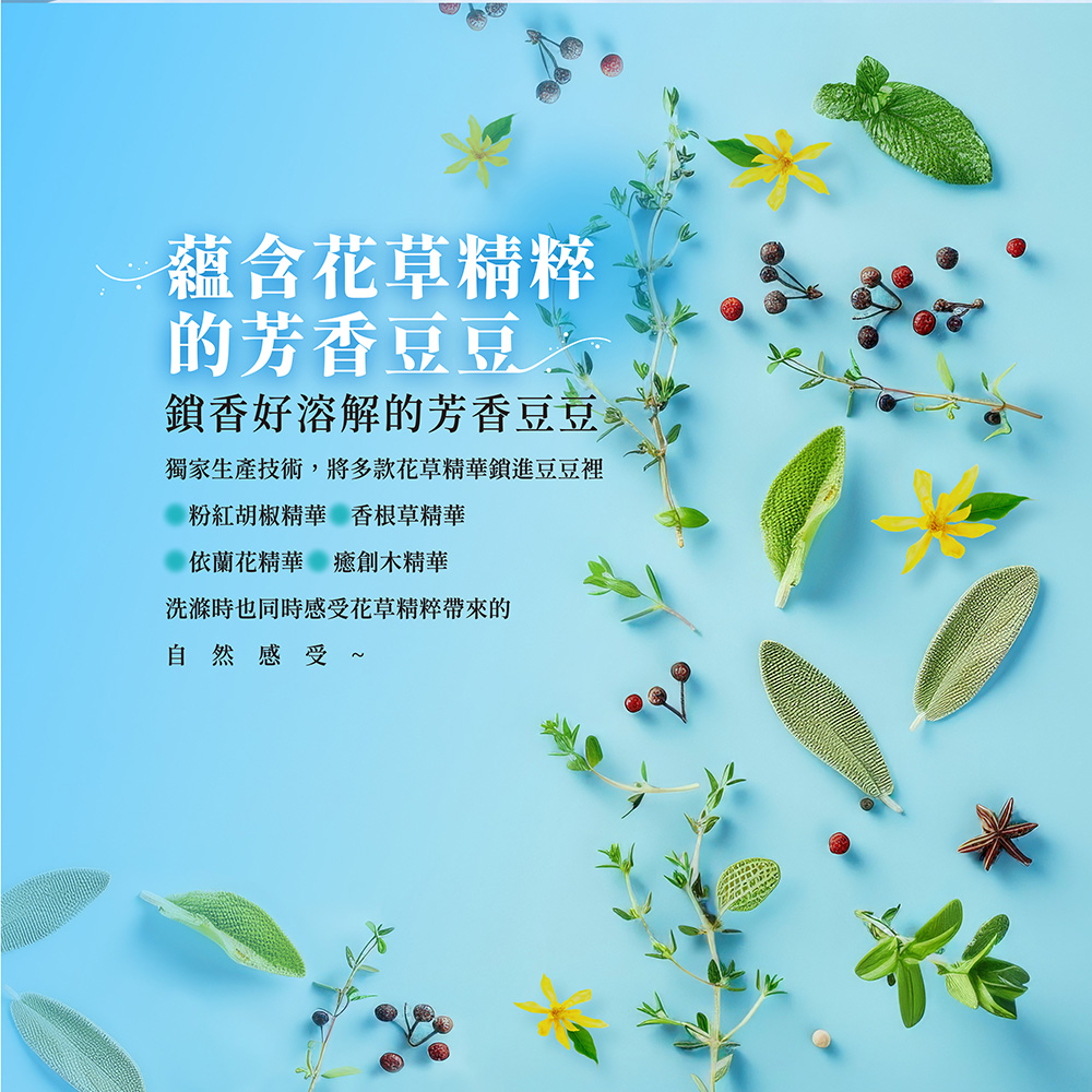加倍潔 洗衣槽去汙劑(法式茉莉香氛)200gx2包