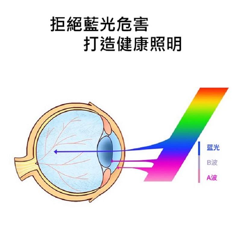 USB觸控折疊LED檯燈 充電插電兩用 抗藍光防頻閃摺疊抬燈 三種光觸摸無極調光 護眼閱讀台燈