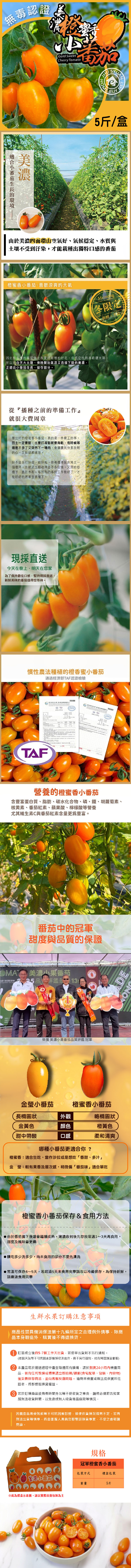 【家購網嚴選】冠軍橙蜜小番茄 5斤/盒