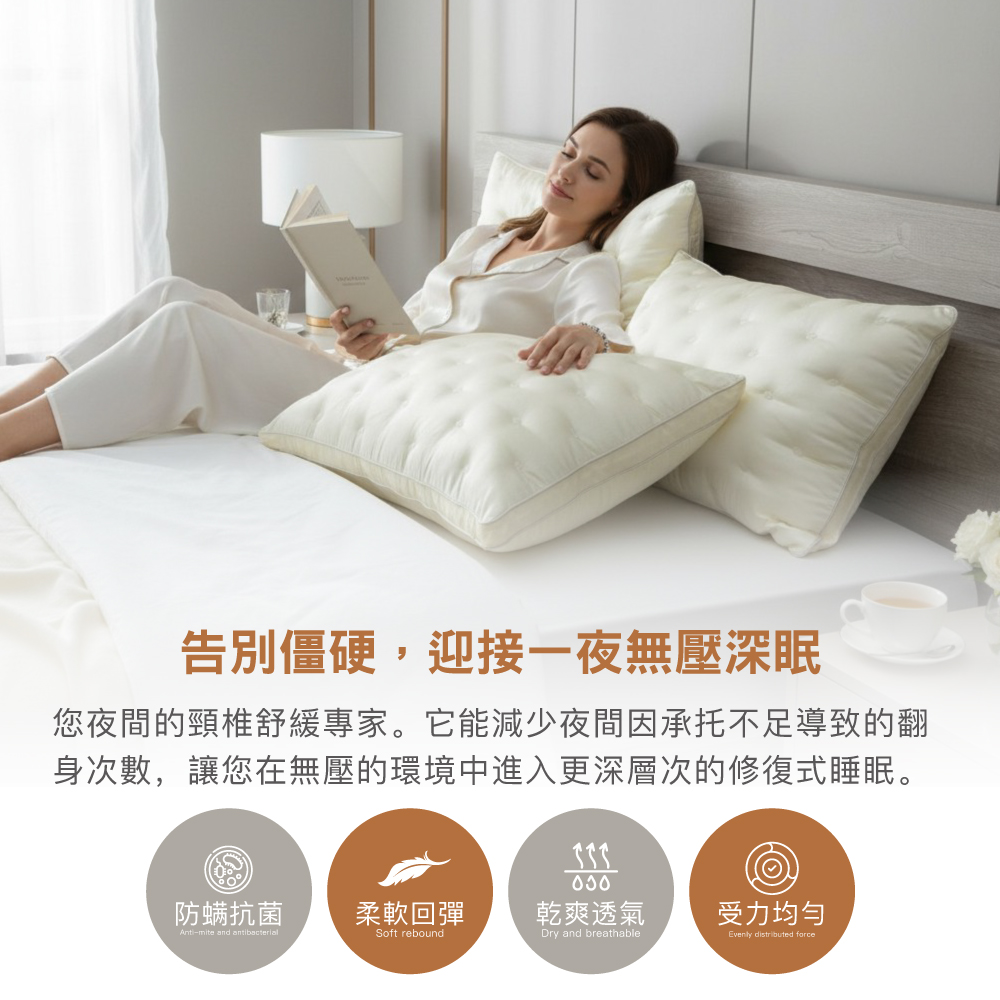 【BEST】韓國蠶蛹蛋白枕