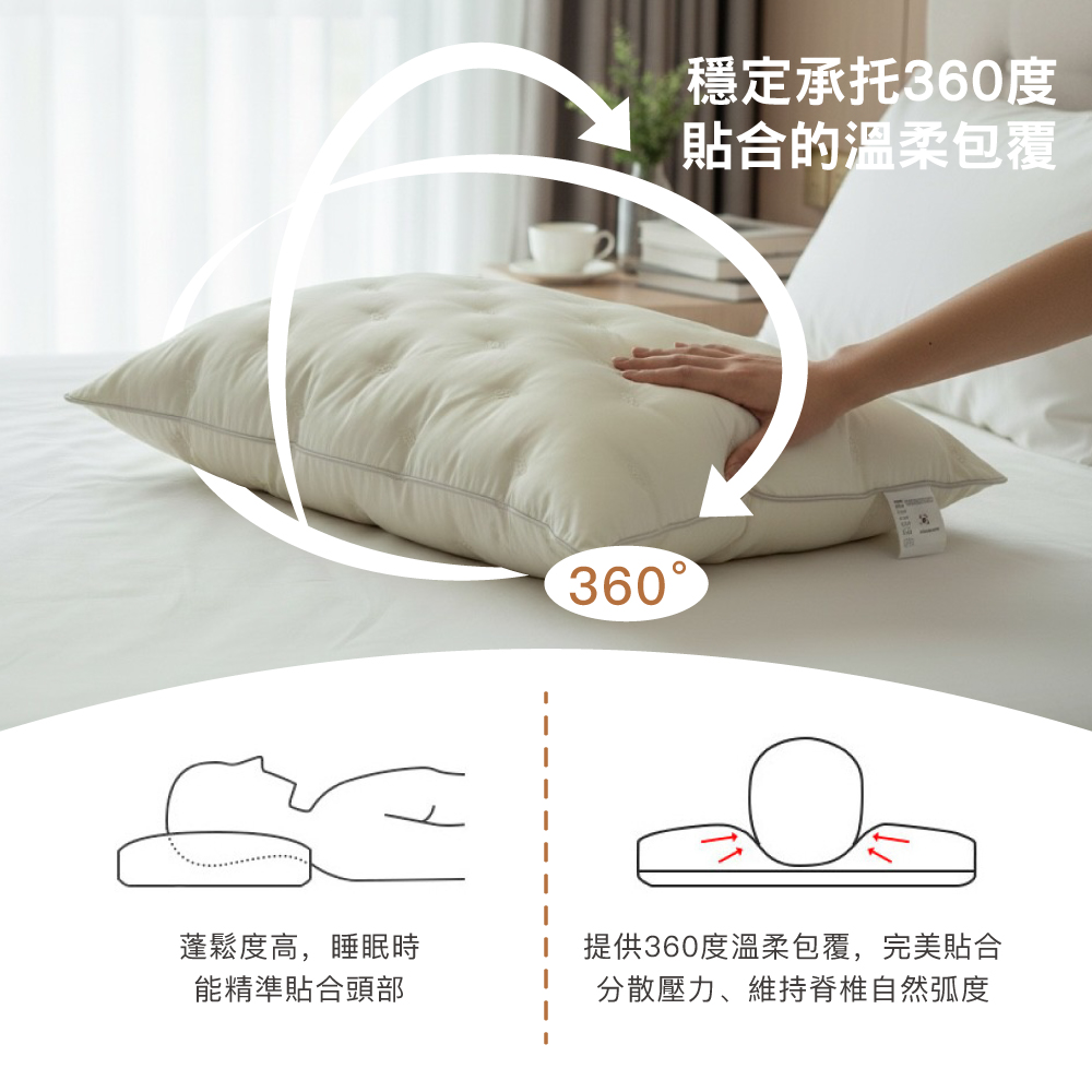 【BEST】韓國蠶蛹蛋白枕