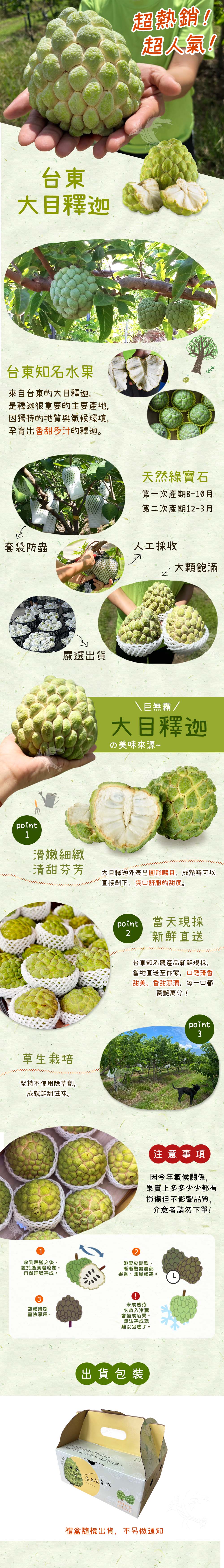 【禾鴻】台東優質大目釋迦10斤/箱(10-12顆/箱_中果)