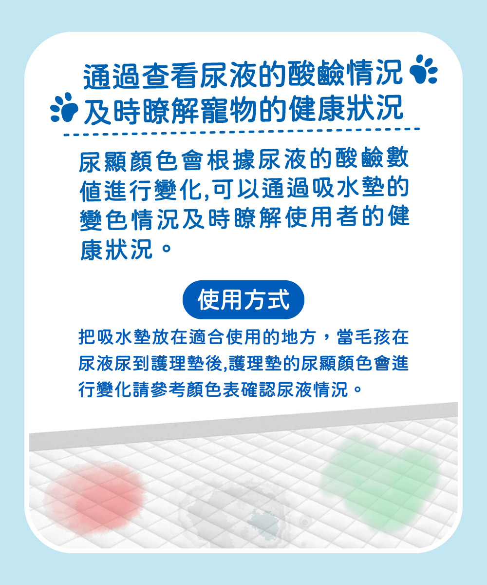 Peepal 寵物尿墊 強效吸收 抑菌除臭 M/L/XL