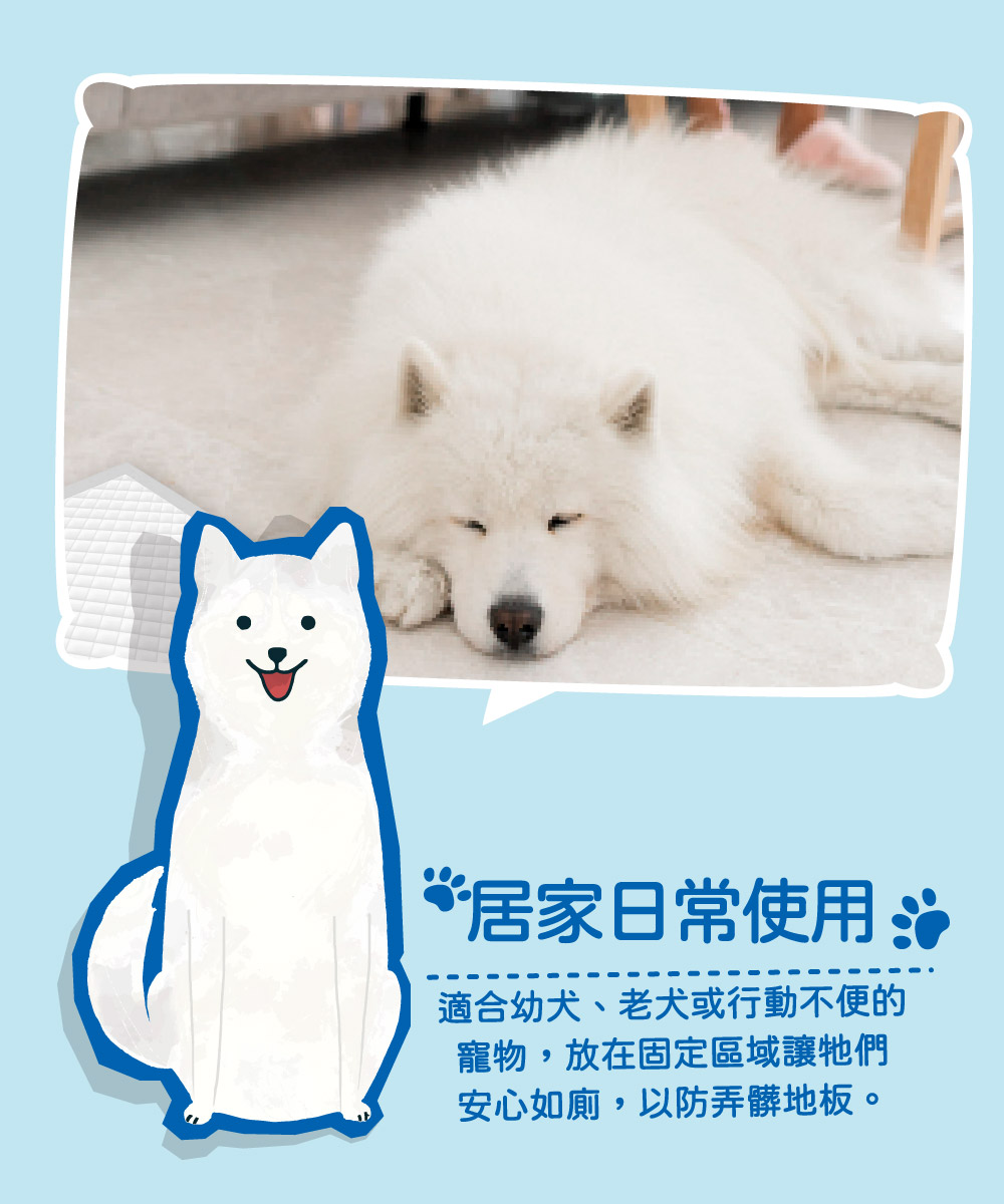 Peepal 寵物尿墊 強效吸收 抑菌除臭 M/L/XL