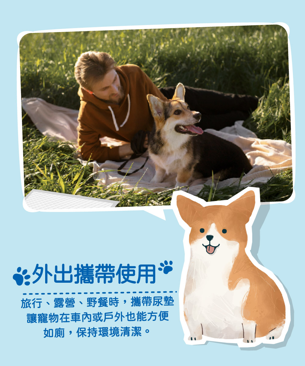 Peepal 寵物尿墊 強效吸收 抑菌除臭 M/L/XL