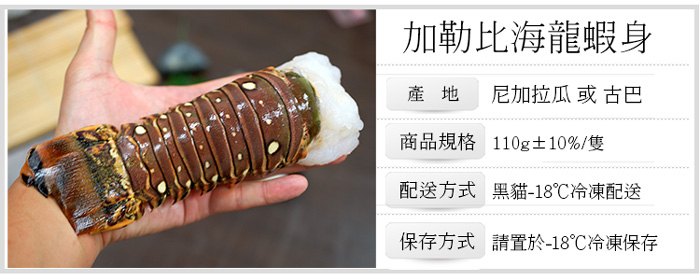 【築地一番鮮】4盎司｜加勒比海｜龍蝦身110g