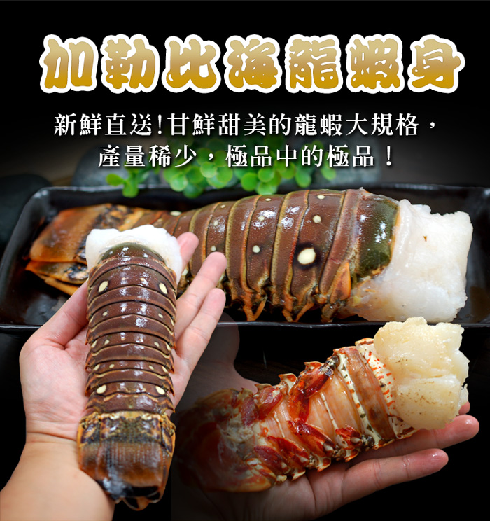 【築地一番鮮】4盎司｜加勒比海｜龍蝦身110g