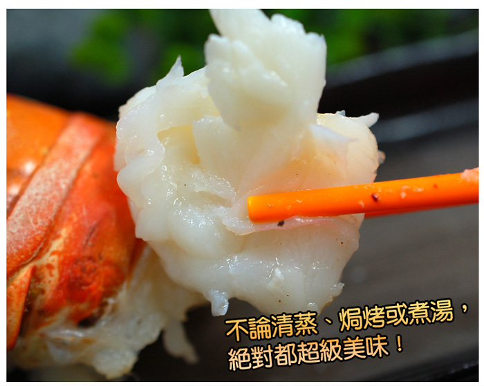 【築地一番鮮】8盎司厚實｜加勒比海｜龍蝦身220g