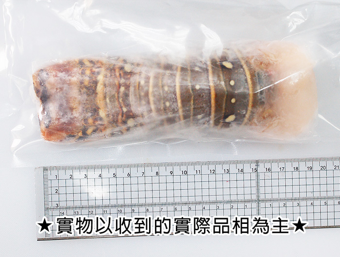 【築地一番鮮】8盎司厚實｜加勒比海｜龍蝦身220g