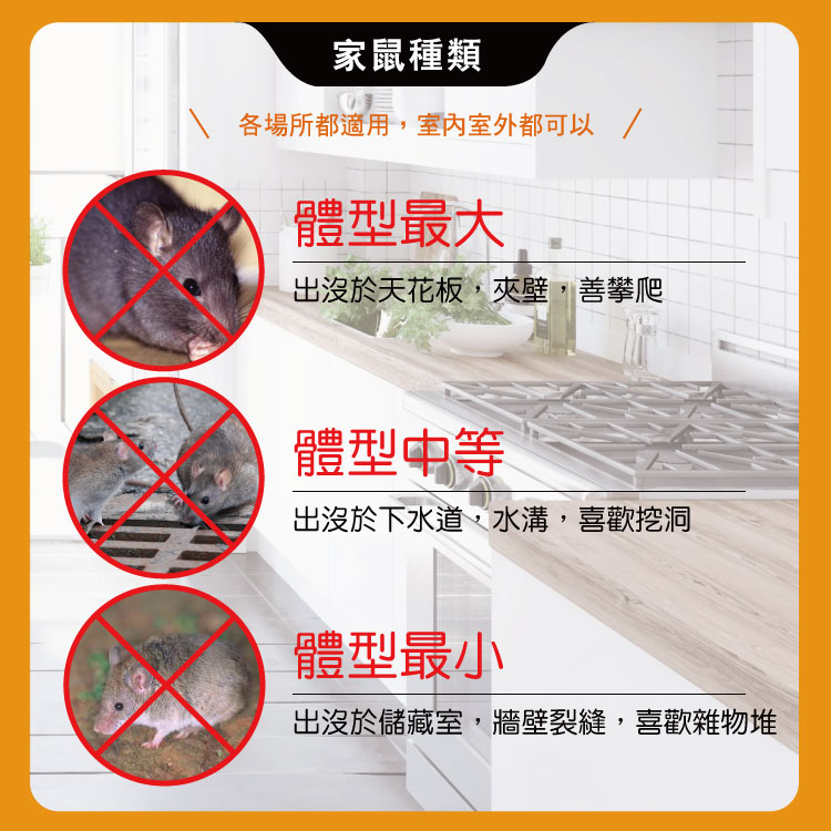 【HAPPY HOUSE快樂屋】第一強效防鼠凝膠100ml-買3送1