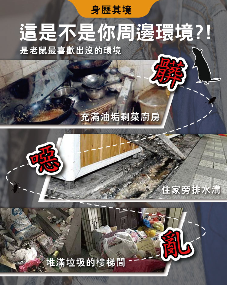 【HAPPY HOUSE快樂屋】第一強效防鼠凝膠100ml-買3送1