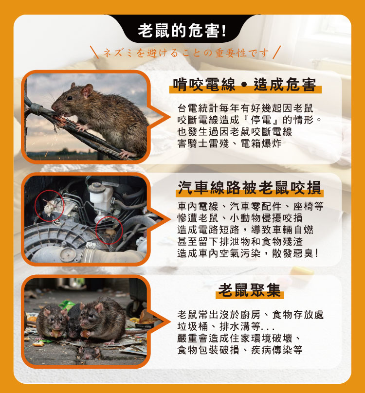 【HAPPY HOUSE快樂屋】第一強效防鼠凝膠100ml-買3送1