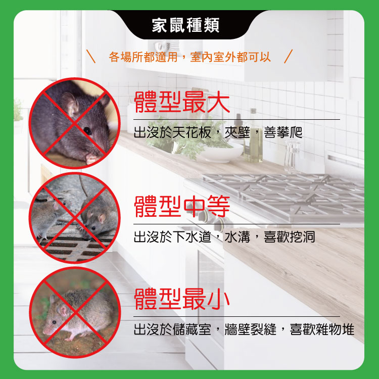 【HAPPY HOUSE快樂屋】第一強效防鼠凝膠500ml