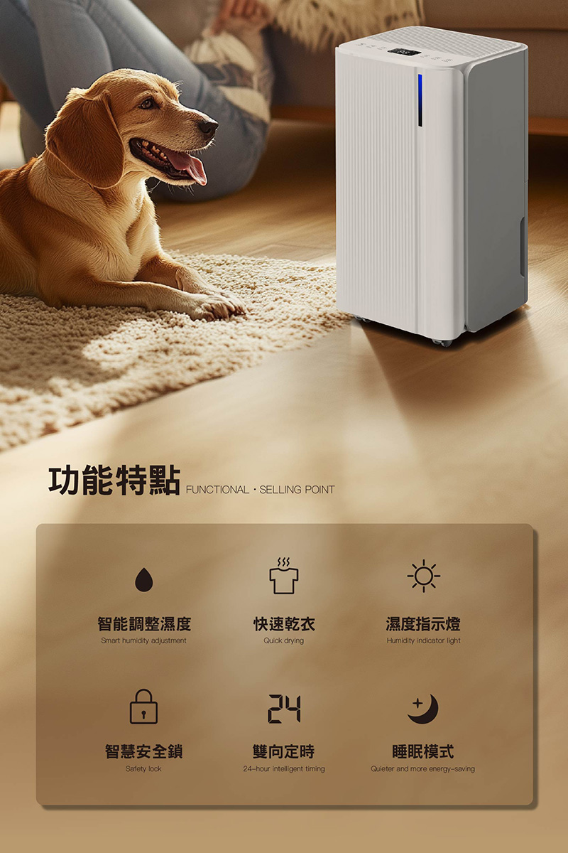 【JJPRO 家佳寶】6L除濕機 2026最新一級能效 ★節能補助退稅 (JPDH02B)