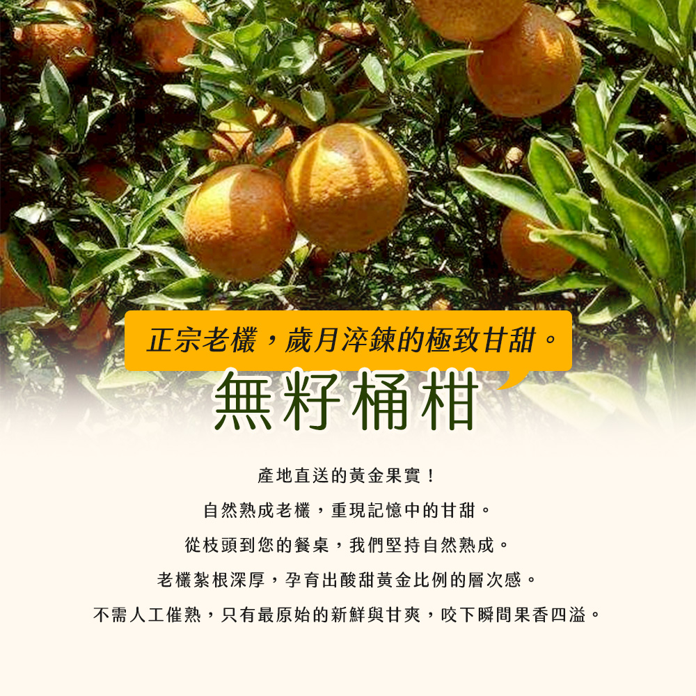 【雪莉朵辣嚴選】無籽桶柑 10斤/箱（約33-45粒）