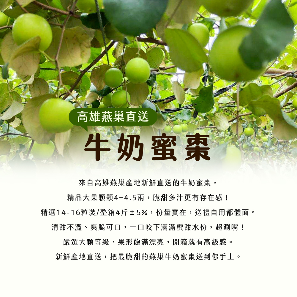 【雪莉朵辣嚴選】高雄燕巢牛奶蜜棗-中果（4斤/箱）