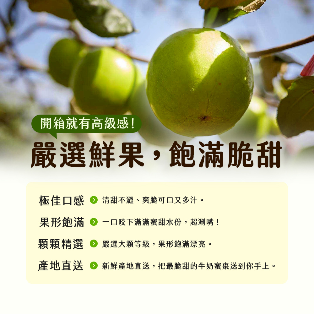 【雪莉朵辣嚴選】高雄燕巢牛奶蜜棗-中果（4斤/箱）