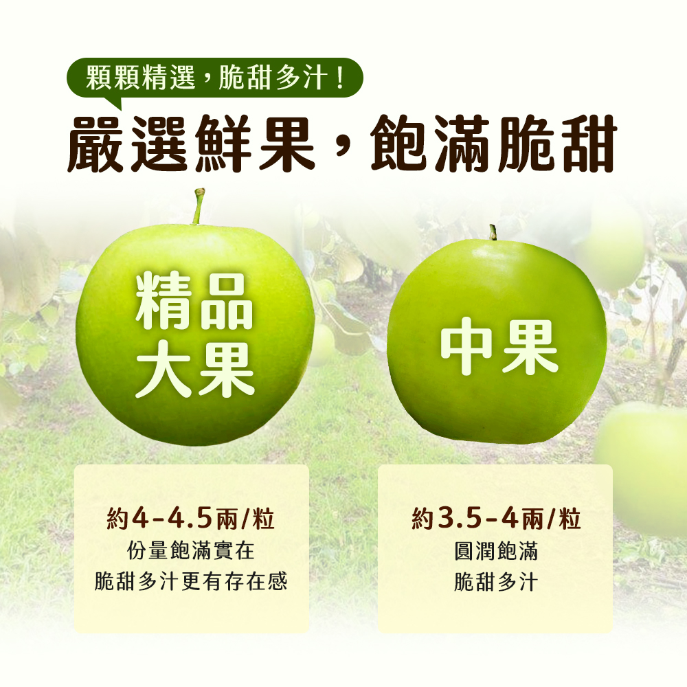 【雪莉朵辣嚴選】高雄燕巢牛奶蜜棗-中果（4斤/箱）