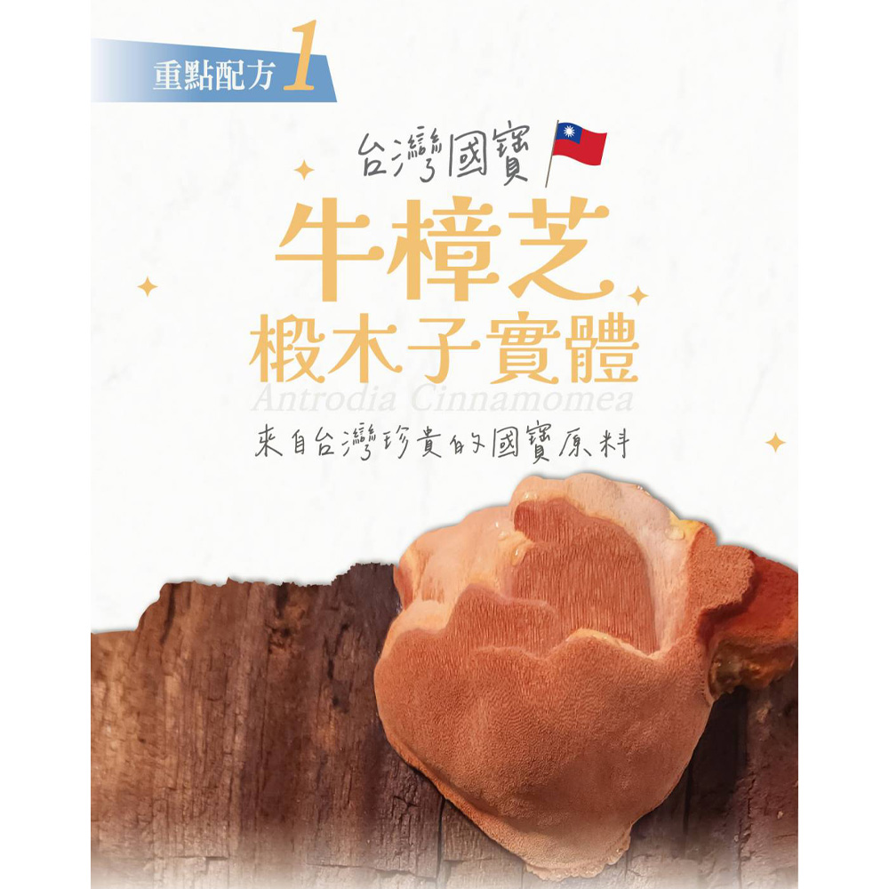 買一送一【寶芝靈 x 沛熙】牛樟芝睡飽寶膠囊(30粒/瓶)  共2瓶