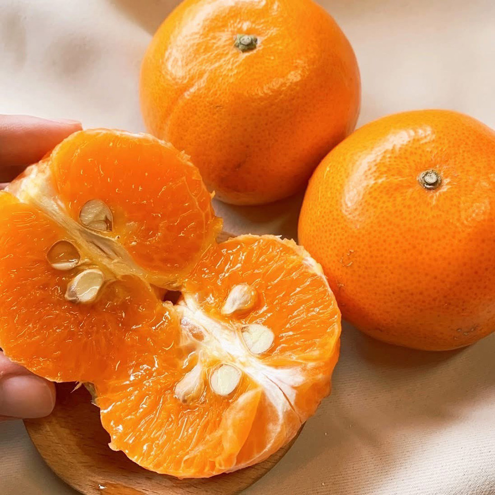 【果子禮】東勢25A-明正茂谷柑 5斤/箱（約15入）