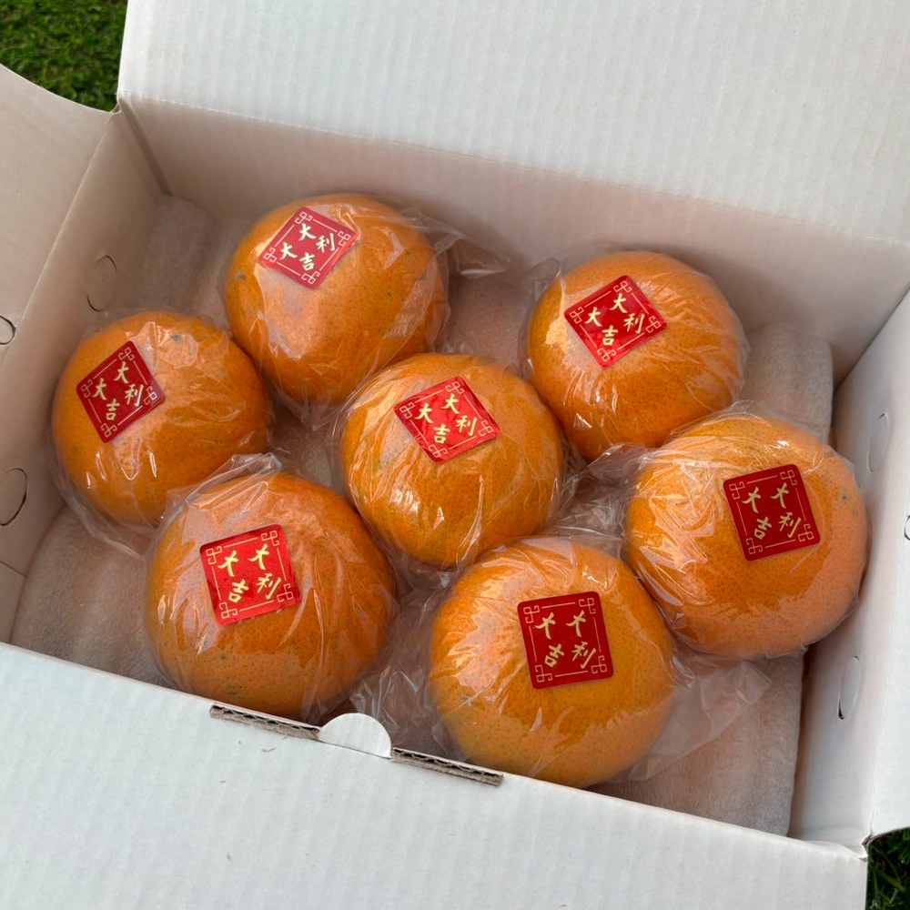 【果子禮】東勢25A-明正茂谷柑 5斤/箱（約15入）