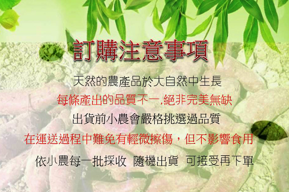 (季節限定)日本品種-紫心地瓜